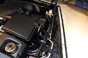 sample photo
