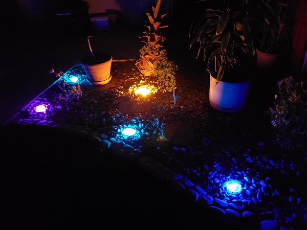 Front yard lighting